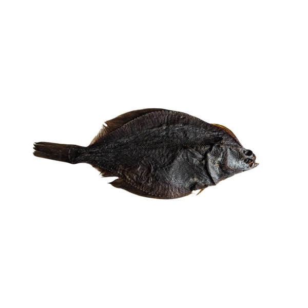 Flunder