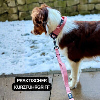 Nylon Pro Führleine Dusty Rose