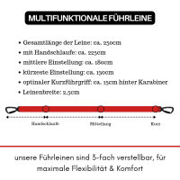 Nylon Pro Führleine Rosso Red