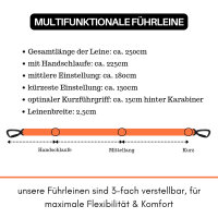 Nylon Pro Führleine Safety Orange