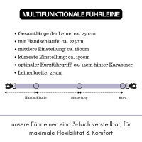 Nylon Tactical Führleine Lilac