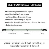 Nylon Tactical Führleine Sage Green