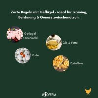 Geflügel Trainings Softie