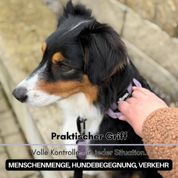 Nylon Tactical Halsband Lilac - ultraleicht