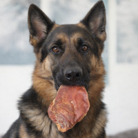 Hühnerbrustfilet Crispy