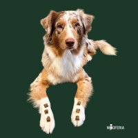 Hühnerfleisch Würfel PUR