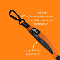 Jogging- & Wanderleine mit Handschlaufe, Bungee-Ruckdämpfer & Sicherheitskarabiner aus Nylon