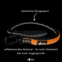 Jogging- & Wanderleine mit Handschlaufe, Bungee-Ruckdämpfer & Sicherheitskarabiner aus Nylon