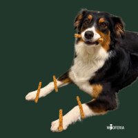 Kaninchen-Fleisch Riegel