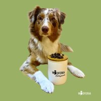 Pferde Mini Lungenwürfel