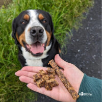 Pferdefleisch Riegel