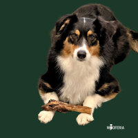 Ochsenziemer Stücke mit Fleischkeule 20cm