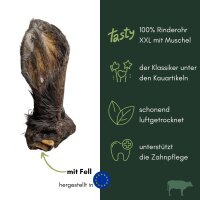 Rinderohr XXL mit Muschel & Fell