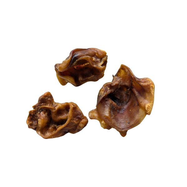 Schweineohr Muscheln