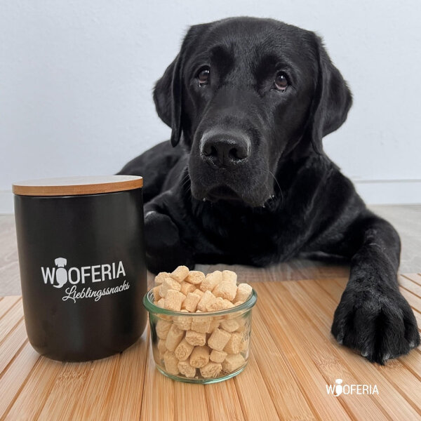 Kokos Trainingssnack