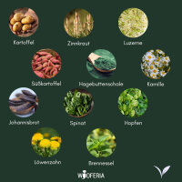 Kräuter Trainingssnack