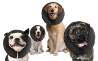 Zenpet ProCollar XS