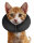 Zenpet ProCollar XS