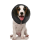 Zenpet ProCollar XS