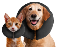 Zenpet ProCollar M