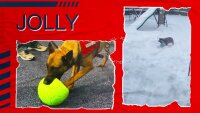 Jolly Soccer Ball Helllila S (15 cm)