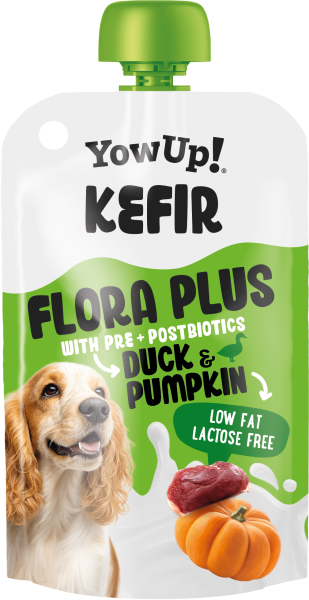 Yowup! Kefir Ente und Kuerbis (Hund)