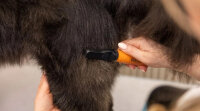 Wahl Dematter Entfilzungskamm für Hunde
