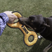 KONG Armor Double Tug Sortiert