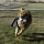 KONG Wubba Sport Football L