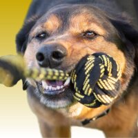 Hundespielzeug Tau - Doppelschlaufe / Pink