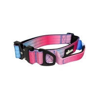 Nylon Tactical Halsband Pink Blue Sky - ultraleicht - M 40-55cm | 4cm