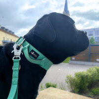 Nylon Tactical Halsband Seafoam - M 42-55cm