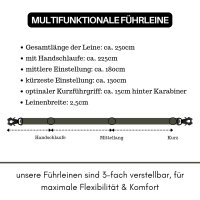 Nylon Tactical Führleine Noble Olive - Leine 2.5m 3-fach verstellbar