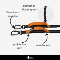 Jogging- & Wanderleine mit beidseitigem Griff, Bungee-Ruckdämpfer & Sicherheitskarabiner aus Nylon - Größe L: 180cm (max. 240cm)
