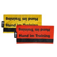 Leinen Banderole Hund im Training - Orange