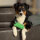 Hundespielzeug Beißwurst - Green / 20cm mit Handschlaufe