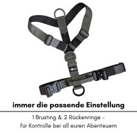 Y-Hundegeschirr 4fach-verstellbar mit Griff und Sicherheitsschnallen Anthracite - ultraleicht - XL