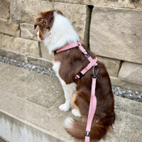 Y-Hundegeschirr 4fach-verstellbar mit Griff und Sicherheitsschnallen Dusty Rose - ultraleicht - XL