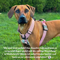 Y-Hundegeschirr 4fach-verstellbar mit Griff und Sicherheitsschnallen Dusty Rose - ultraleicht - XL