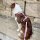 Y-Hundegeschirr 4fach-verstellbar mit Griff und Sicherheitsschnallen Dusty Rose - ultraleicht - XL
