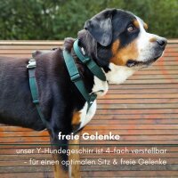 Y-Hundegeschirr 4fach-verstellbar mit Griff und Sicherheitsschnallen Dark Green - ultraleicht - XL