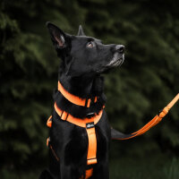 Y-Hundegeschirr 4fach-verstellbar mit Griff und Sicherheitsschnallen Safety Orange - ultraleicht - M