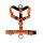 Y-Hundegeschirr 4fach-verstellbar mit Griff und Sicherheitsschnallen Safety Orange - ultraleicht - XL