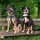 Y-Hundegeschirr 4fach-verstellbar mit Griff und Sicherheitsschnallen Black Camo - ultraleicht - XL