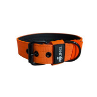 Nylon Classic Halsband Safety Orange - S 34-40cm | 3,2cm...
