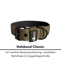 Nylon Classic Halsband Military Olive - S 34-40cm | 3,2cm / Schwarz