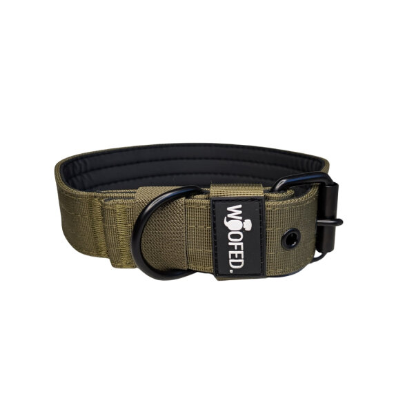 Nylon Classic Halsband Military Olive - L 48-54cm | 5cm / Schwarz