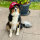 Cap Dogmom - Beige
