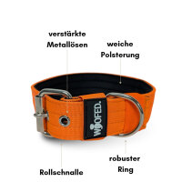 Nylon Classic Halsband Safety Orange - M 42-48cm | 4cm /...