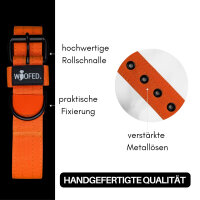 Nylon Classic Halsband Safety Orange - XL 56-62cm | 5cm / Silber